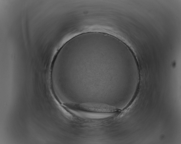 X0000091651525200708231210