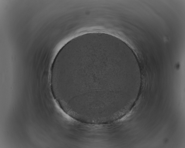 X0000091651527200708231210