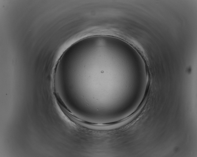 X0000091651528200708231210