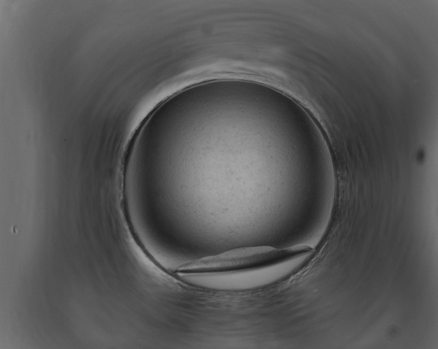 X0000091651531200708231210