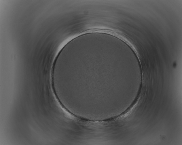 X0000091651533200708231210
