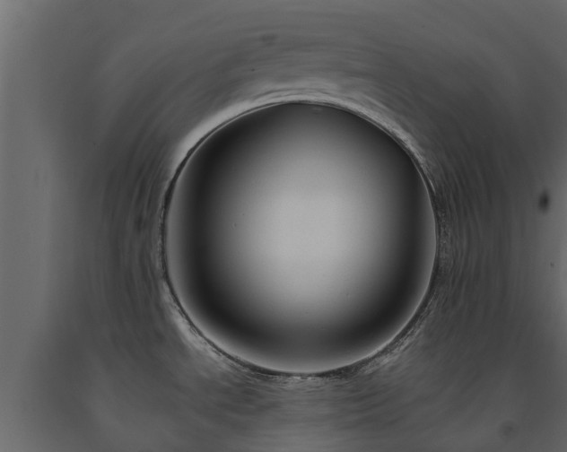 X0000091651534200708231210