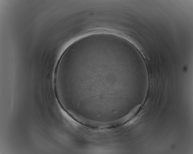 X0000091651535200708231210