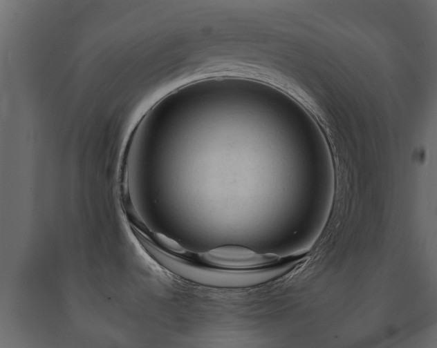 X0000091651536200708231210