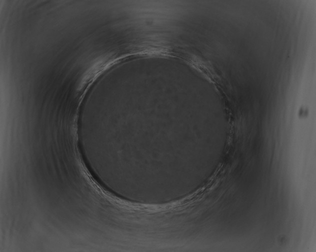 X0000091650002200708301427