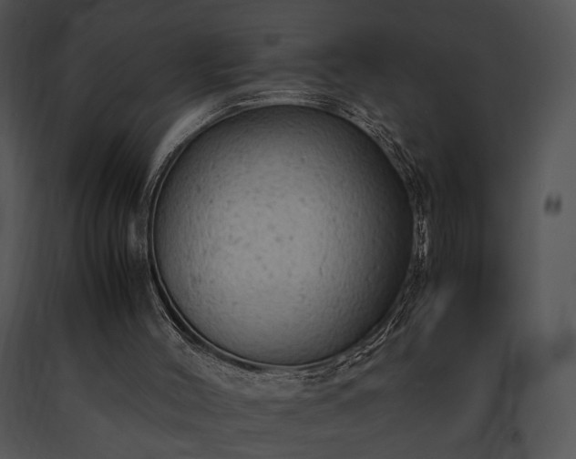 X0000091650004200708301427