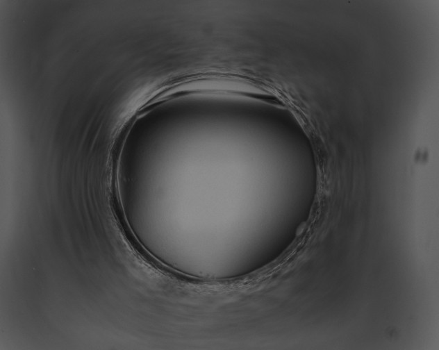 X0000091650005200708301427