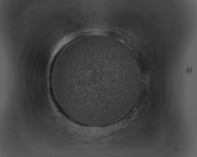 X0000091650006200708301427