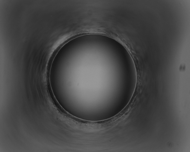 X0000091650008200708301427