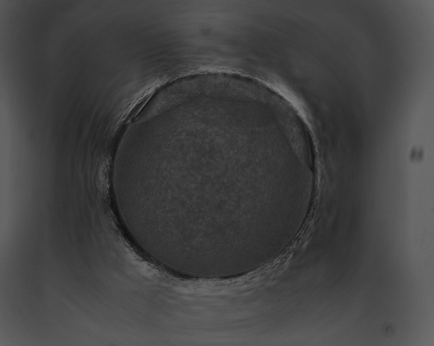 X0000091650009200708301427