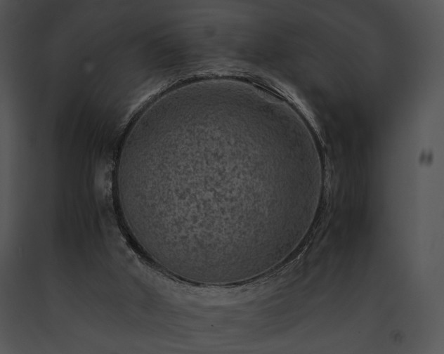 X0000091650010200708301427