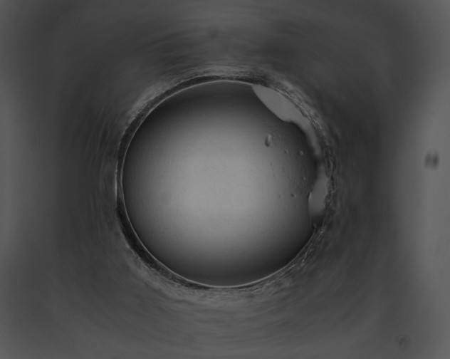 X0000091650011200708301427