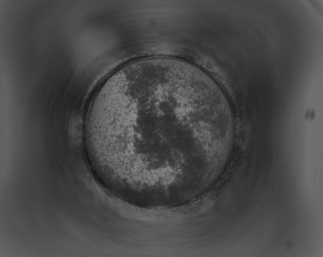 X0000091650012200708301427