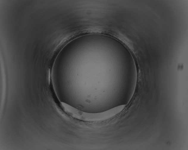 X0000091650013200708301427