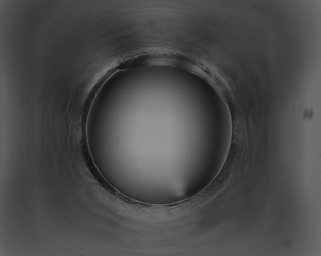 X0000091650015200708301427