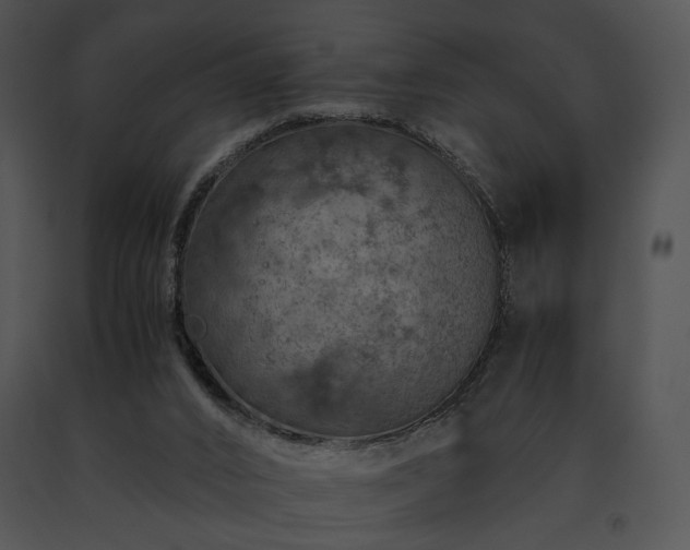 X0000091650016200708301427