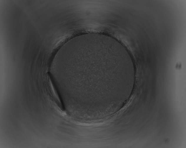 X0000091650017200708301427