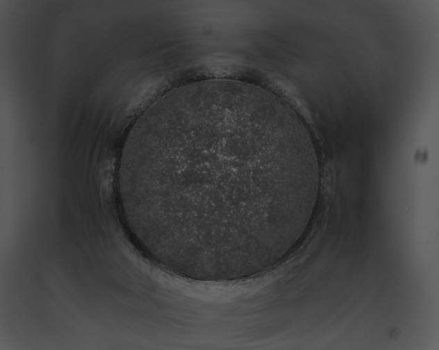 X0000091650018200708301427