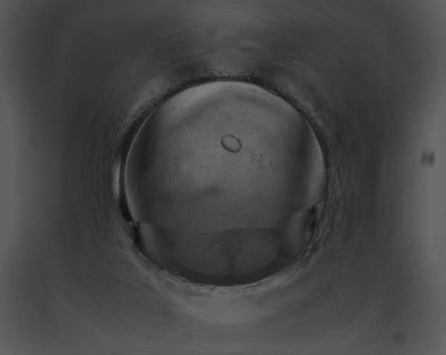 X0000091650019200708301427