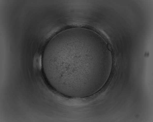 X0000091650020200708301427