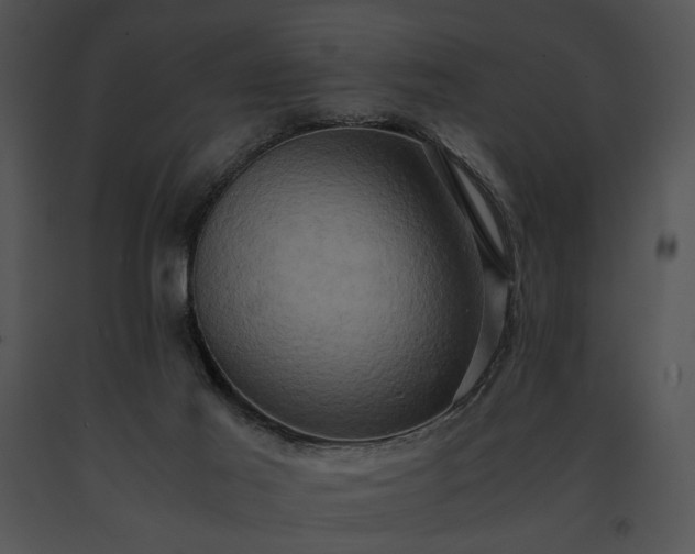 X0000091650021200708301427