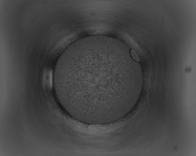 X0000091650022200708301427