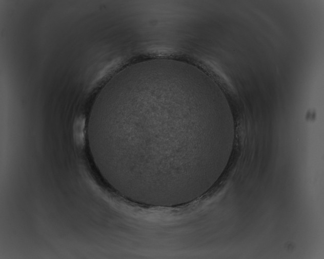 X0000091650024200708301427