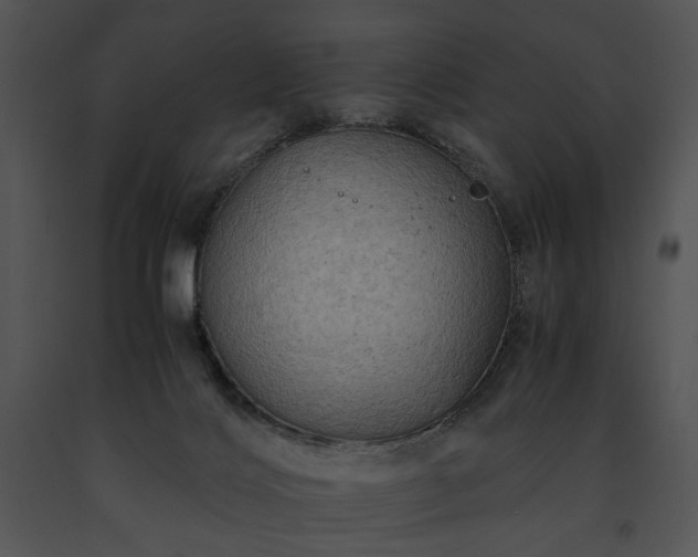 X0000091650028200708301427