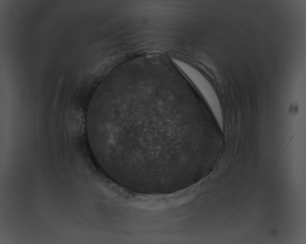 X0000091650029200708301427