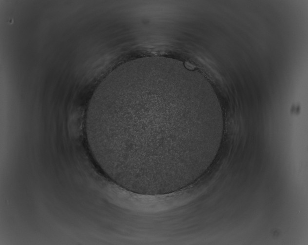 X0000091650030200708301427