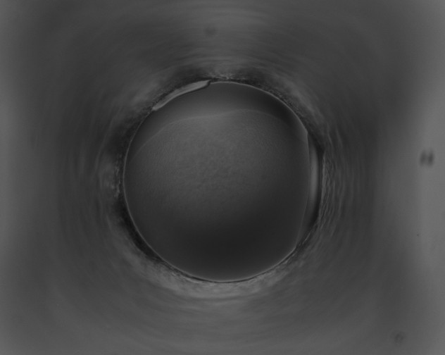 X0000091650031200708301427