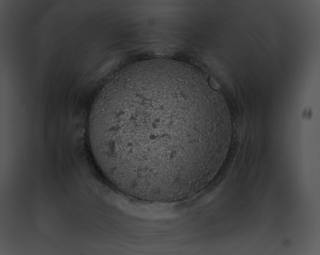 X0000091650032200708301427