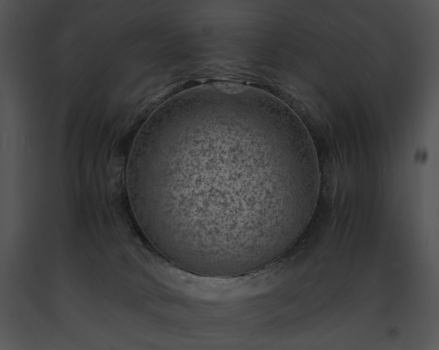 X0000091650034200708301427