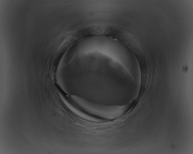 X0000091650035200708301427