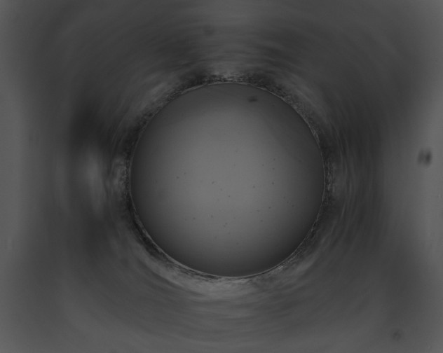 X0000091650036200708301427