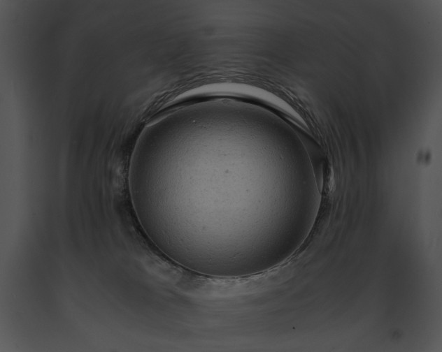 X0000091650037200708301427