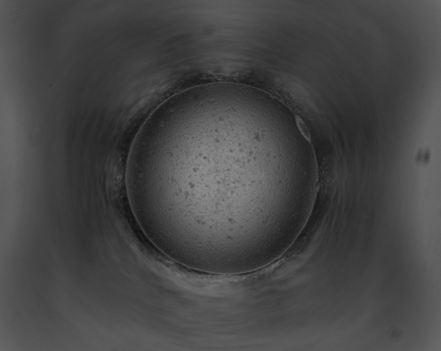 X0000091650040200708301427