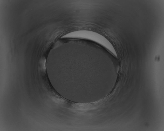 X0000091650041200708301427