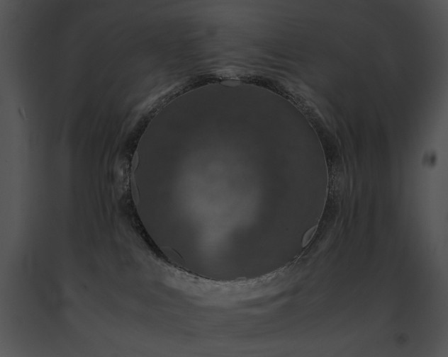 X0000091650043200708301427