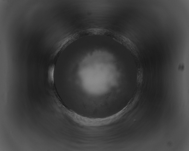 X0000091650047200708301427