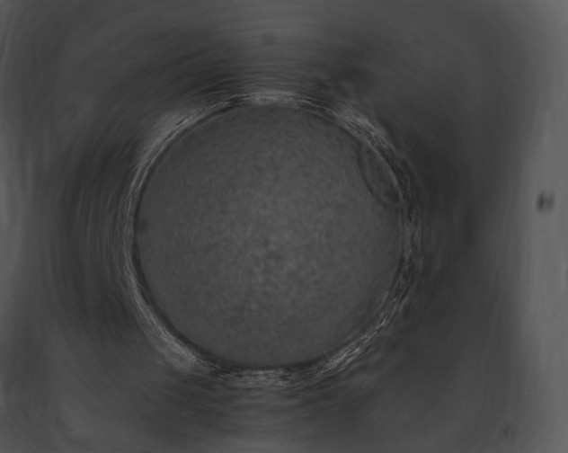 X0000091650049200708301426