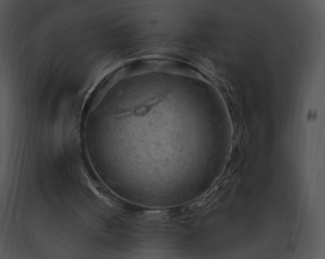 X0000091650050200708301426