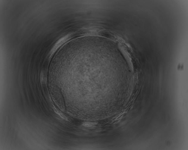 X0000091650051200708301426