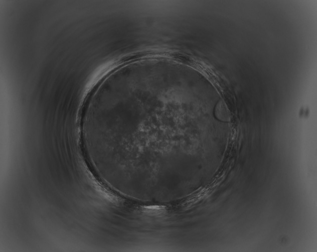 X0000091650053200708301426