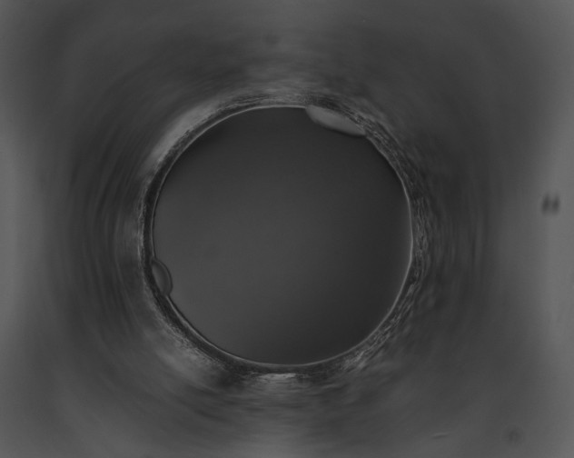 X0000091650054200708301426