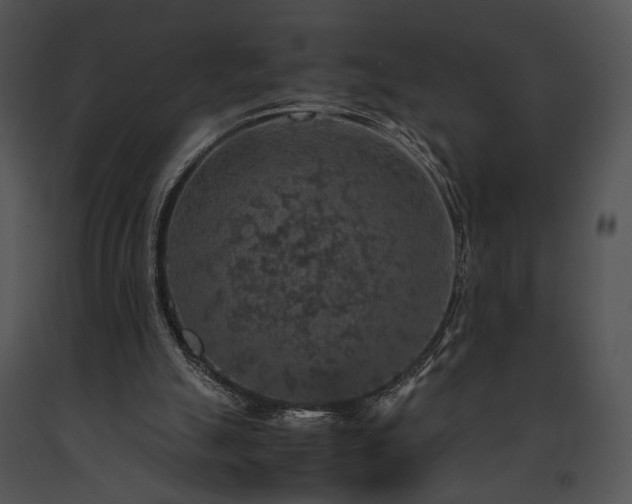 X0000091650055200708301426