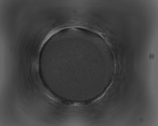 X0000091650056200708301426