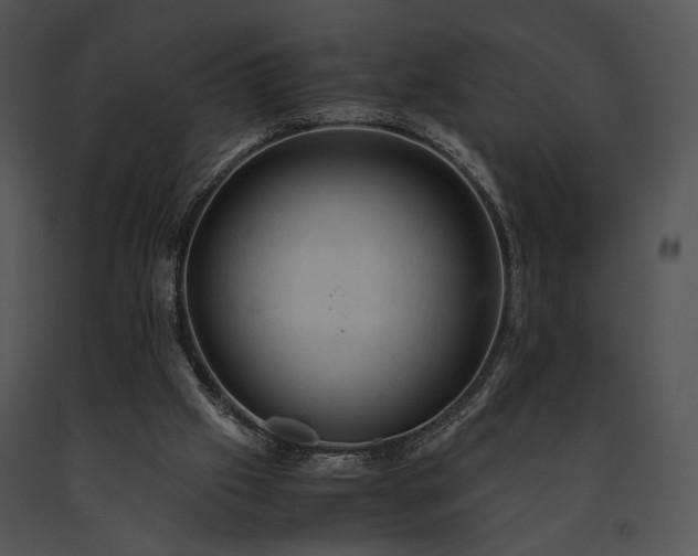 X0000091650057200708301426