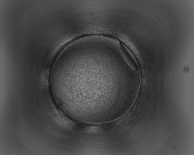 X0000091650058200708301426