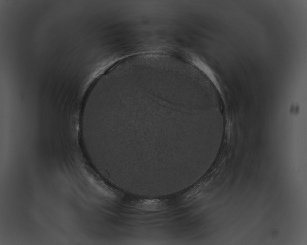 X0000091650059200708301426